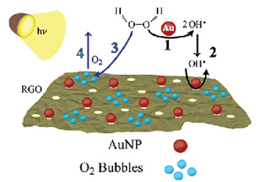 Holey Graphene Oxide